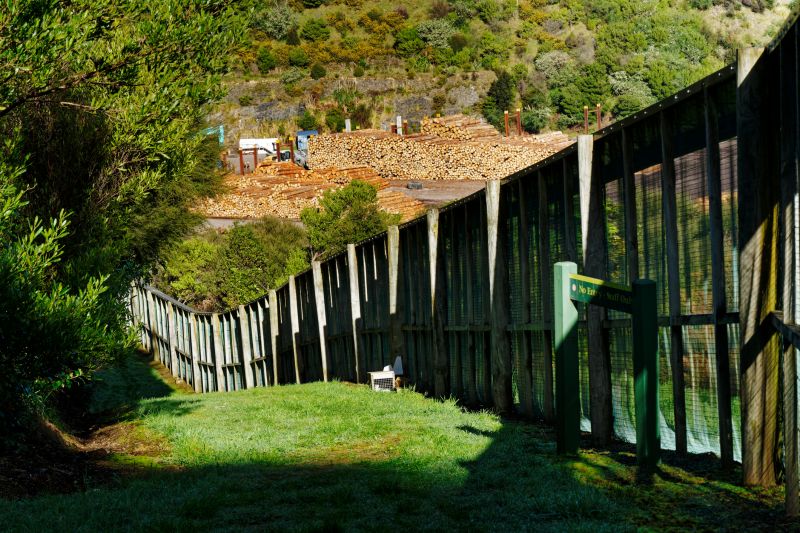How A Fence Adds Privacy, Security, And Curb Appeal